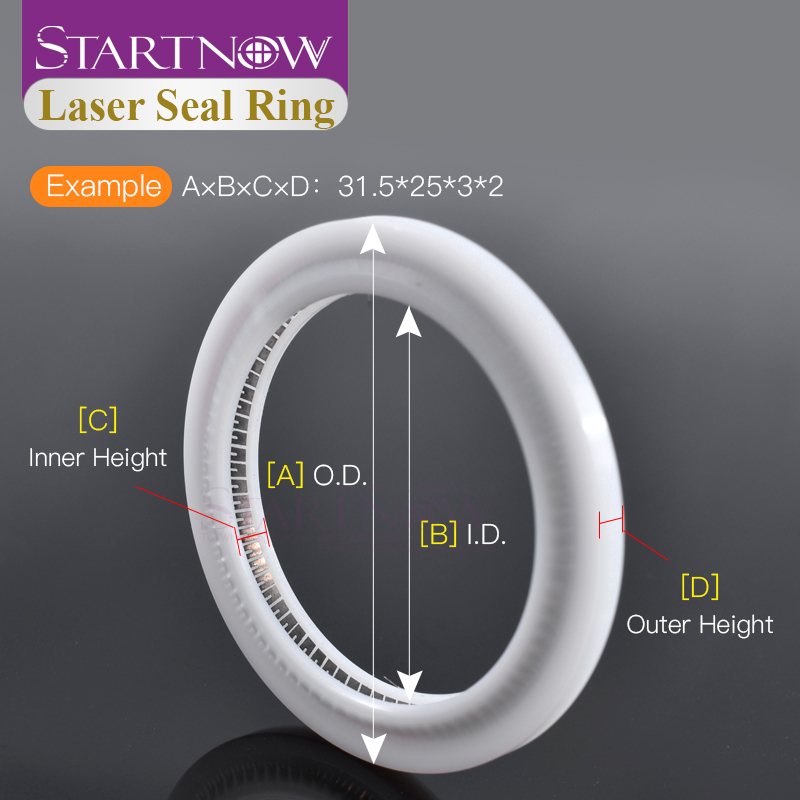 Startnow Anello di Tenuta Lase - Industrial Laser Head recensione e prezzo